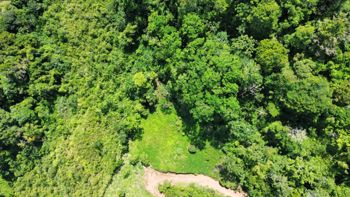 Lotes en Venta Sitio Mata Turrialba Desde 5.000 m² Vistas y Naturaleza in Pavones, Turrialba, Cartago — 15 000 000 ₡ - Photo 4 of 9