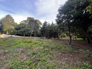 Venta de lote en San Rafael de Heredia Residencial el Castillo en Ángeles, San Rafael, Heredia — $210,000 - Foto 5 de 14