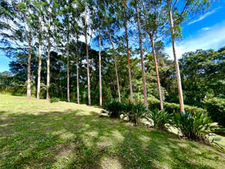 VENTA DE LOTE PLANO, 1.416,67 m², SAN RAMÓN, LA UNIÓN in San Ramón, La Unión, Cartago — $255,500 - Photo 4 of 9