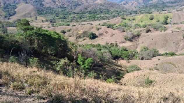 Gran oportunidad en Puntarenas: Finca de 66.7 hectáreas con alto potencial agrícola y ganadero in Lepanto, Puntarenas — ₡ 234 000 000
