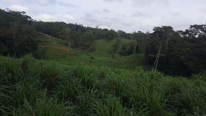 Venta de Finca Ganadera con Operación Llave en Mano en San Marcos de Cutris en Cutris, San Carlos, Alajuela — ₡ 460 000 000