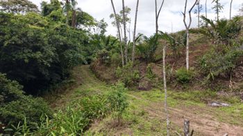 SE VENDE FINCA CON CASCADA PRIVADA Y ENTORNO NATURAL UNICO en Rivas, Pérez Zeledón, San José — $250,000 - Foto 4 de 19