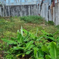 Lote en Venta de Uso Residencial,en Guadalupe,Goicoechea,3PJG10093444 in Guadalupe, Goicoechea, San José — 50 000 000 ₡ - Photo 3 of 13