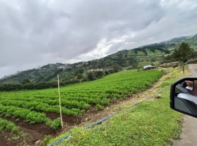 SE VENDEN 2 BELLÍSIMAS PROPIEDADES EN NARANJO, ALAJUELA.  en Naranjo, Alajuela — ₡ 50 000 000