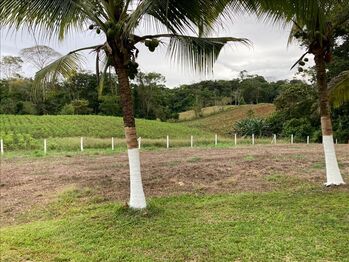 Finca en Venta Quesada, San Carlos, Alajuela