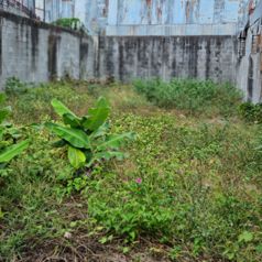 Lote en Venta de Uso Residencial,en Guadalupe,Goicoechea,3PJG10093444 in Guadalupe, Goicoechea, San José — 50 000 000 ₡ - Photo 5 of 13