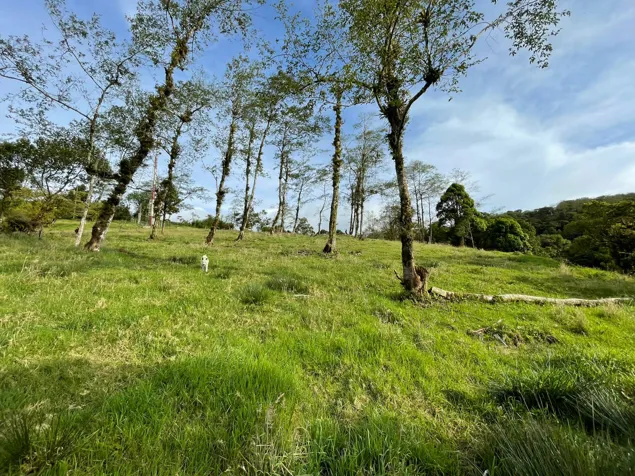 VENTA DE LOTE, HEREDIA, VARABLANCA in Vara Blanca, Heredia — $288,060