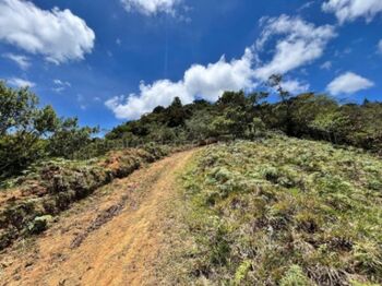 Finca de montaña con quebrada natural y alto potencial en El Guarco Cartago #26-1829 GS en San Isidro, El Guarco, Cartago — $222,222 - Foto 4 de 13