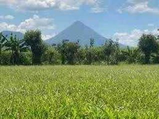 LOTES EN LA FORTUNA DE SAN CARLOS en La Fortuna, San Carlos, Alajuela — $95,000 - Foto 5 de 33