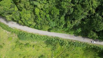 LAND FOR SALE IN NARANJITO, QUEPOS en Naranjito, Quepos, Puntarenas — $300,000 - Foto 4 de 6