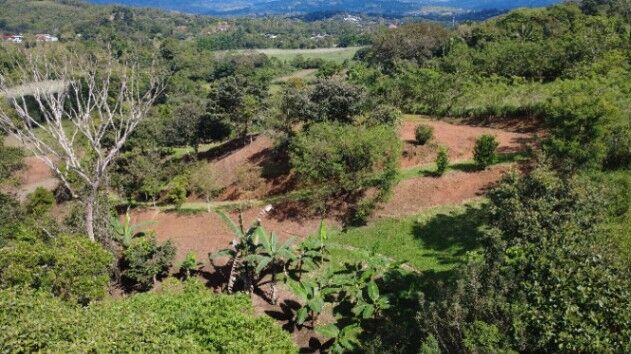 LOTE SOSTENIBLE EN VENTA EN LA PRIVACIDAD DE PÉREZ ZELEDÓN, ROSARIO DE PACUAR in San Isidro De El General, Pérez Zeledón, San José — $110,000