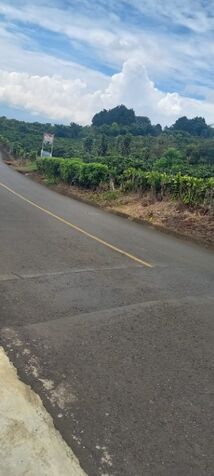 SE VENDE ESPECTACULAR FINCA EN SAN RAFAEL DE HEREDIA.  en Concepción, San Rafael, Heredia — ₡ 13 000