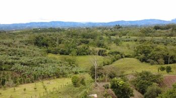 CONSTRUYA SU HOGAR IDEAL EN LA LINDA DE GENERAL VIEJO - LOTE DE 2,744 M² EN VENTA in San Isidro De El General, Pérez Zeledón, San José — $36,000 - Photo 5 of 16