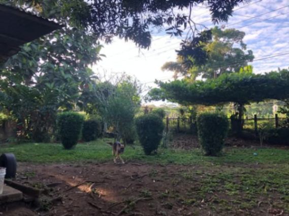 SE VENDE BELLÍSIMA FINCA EN CAHUITA, LIMÓN.  en Cahuita, Talamanca, Limón — $15