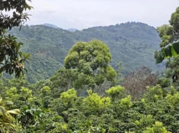 Se vende terreno. in San Andrés, León Cortés Castro, San José — ₡ 15 000 000