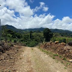 "Prime Real Estate  Opportunity in Santa Elena, Pérez Zeledón - Photo 2 of 3