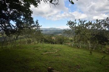 Venta de Lote en San Ramon de Alajuela. RAH 26-84 in Volio, San Ramón, Alajuela — 140 000 000 ₡ - Photo 4 of 18