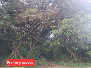 Venta Lote 5787m2 Concepción San Rafael Heredia en Concepción, San Rafael, Heredia — 150 000 000 ₡ - Foto 5 de 10
