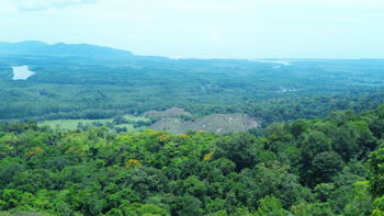 Finca de 107 Hectáreas en Sierpe, Osa