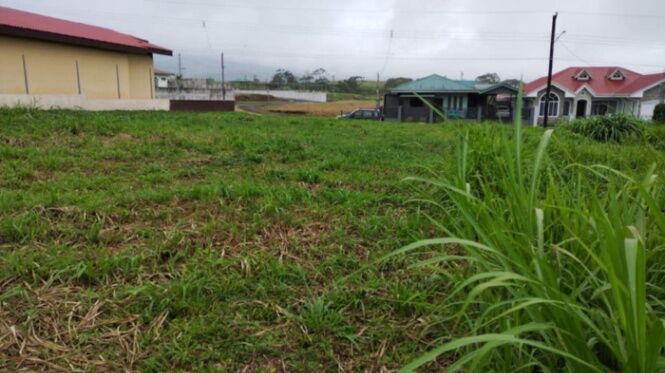 Terreno  en Quesada, San Carlos, Alajuela — $55,000