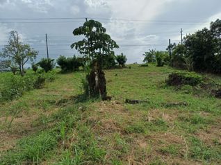 VENTA DE LOTE USO DE SUELO MIXTO, HEREDIA, SARAPIQUI, HORQUETAS in Puerto Viejo, Sarapiquí, Heredia — 40 000 000 ₡ - Photo 5 of 6