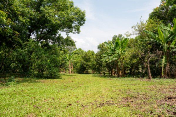 DE OPORTUNIDAD 3 BELLAS PROPIEDADES EN OROTINA.  en Orotina, Alajuela — ₡ 75 000 000