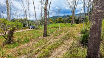 VENTA DE LOTE PREMIUM DE 1.873 M2 EN SANTA ROSA, PEREZ ZELEDON en San Isidro De El General, Pérez Zeledón, San José — $55,999 - Foto 5 de 17