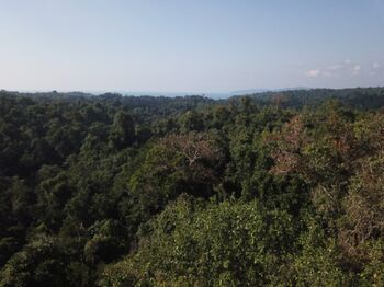 Propiedad de Eco-Lodge– The Jungle Getaway en Bahía Drake, Osa, Puntarenas — $4,000,000 - Foto 4 de 14