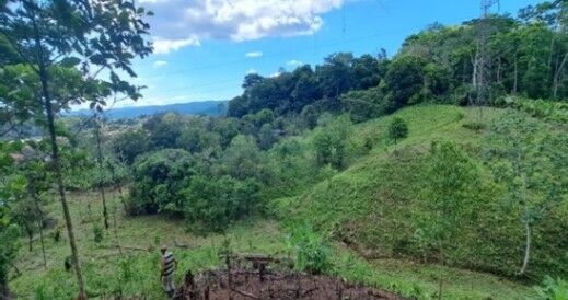 Hermosa Finca en Rio Claro en Guaycará, Golfito, Puntarenas — ₡ 97 000 000