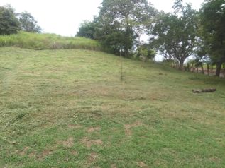 LOTE  PLAYA VISTA GOLFO NICOYA in Colorado, Abangares, Guanacaste — $145,000 - Photo 2 of 6