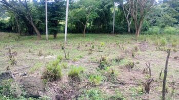 Farm For Sale Caldera, Esparza, Puntarenas