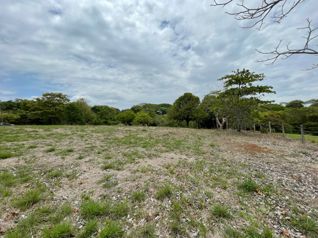 Propiedad de 4976m2 en Coyolar de Orotina en Coyolar, Orotina, Alajuela — $350,000 - Foto 3 de 14