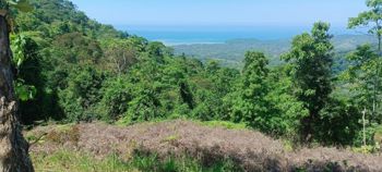 Lote en venta en Puerto Cortés, Osa Vistas al océano Precio Rebajado in Puerto Cortés, Osa, Puntarenas — $130,000 - Photo 4 of 21