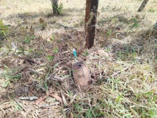 Amplio terreno en venta en Piedades Sur de San Ramón, Alajuela en Piedades Sur, San Ramón, Alajuela — ₡ 550 000 000