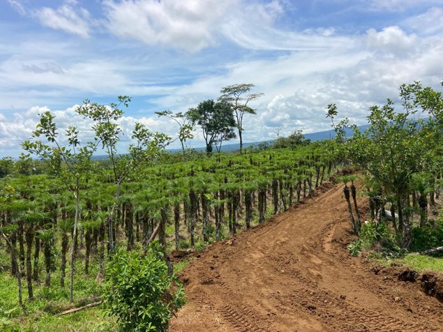 VENTA DE QUINTA, ALAJUELA, GRECIA, RIO CUARTO in Heredia — ₡ 50 000 000
