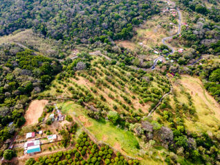Se Vende Finca de 9 Ha. en Higuito.  Multiples Oportunidades. in San Mateo, Alajuela — $1,350,000 - Photo 5 of 25