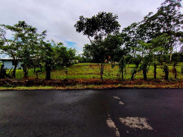 🌿 LOTE DE 2.209 m² EN VENTA | MUELLE DE LA PALMERA, SAN CARLOS en La Palmera, San Carlos, Alajuela — ₡ 40 000 000 - Foto 2 de 13