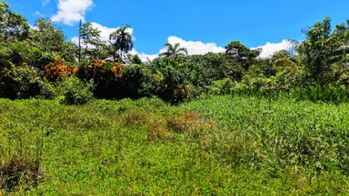 EN VENTA - TERRENO LISTO PARA CONSTRUIR CON POTENCIAL RESIDENCIAL Y COMERCIAL en Cajón, Pérez Zeledón, San José — 5 000 000 ₡ - Foto 5 de 6