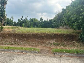 Lote en Venta Puente De Piedra, Grecia, Alajuela