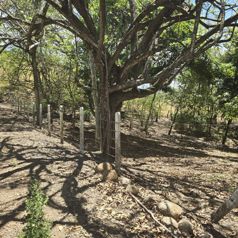 Lote en venta en Alajuela, La Garita. 5PVV8593585 in Garita, Alajuela — 75 000 000 ₡ - Photo 5 of 10