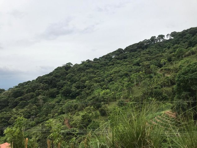 Venta de lote #10, Bario Jesús, Atenas en Atenas, Alajuela — $80,000