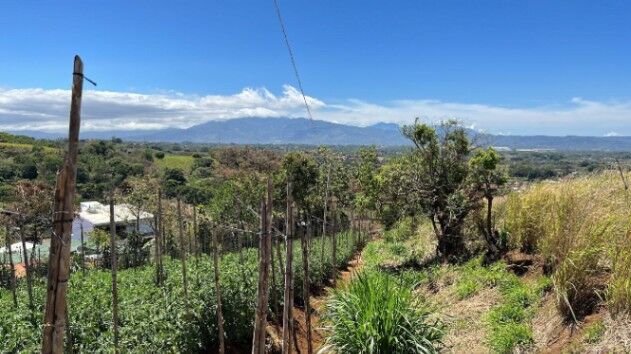 Venta lote alta densidad ideal condominio con vista y acceso propio #24-121 GS en Tacares, Grecia, Alajuela — $733,380