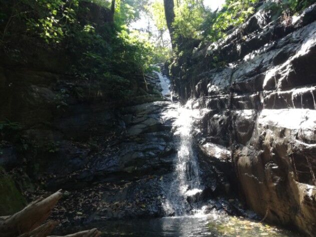 Vendo finca de montaña en Río Grande de Paquera. en Paquera, Puntarenas — $460,000