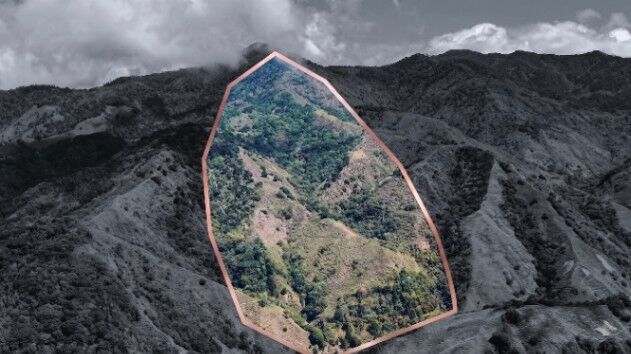 FINCA HERRADURA EN VENTA: 100.6 HA DE RESERVA HIDRICA Y FORESTAL EN EL CHIRRIPO en Rivas, Pérez Zeledón, San José — $2,200,000