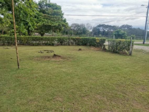 SE VENDEN 5 BELLOS LOTES EN PALMARES NORTE, ZONA SUR.  en Puntarenas — ₡ 6 000 000