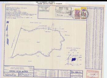 Se vende propiedad ideal para proyecto e inversión  en Corredor, Corredores, Puntarenas — 216 000 000 ₡ - Foto 5 de 8