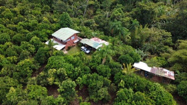FINCA PRODUCTIVA DE MAMÓN CHINO EN VENTA – SAN PEDRO DE SANTIAGO, PÉREZ ZELEDÓN in San Pedro, Pérez Zeledón, San José — $300,000