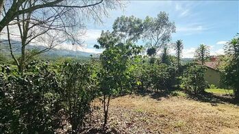 Lote en Venta Cajón, Pérez Zeledón, San José