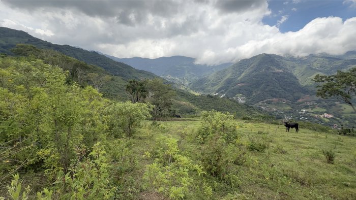 Lote de 11,000m² en Venta en Salitral de Santa Ana, Carretera a Escazú en Salitral, Santa Ana, San José — $275,000 - Foto 3 de 11