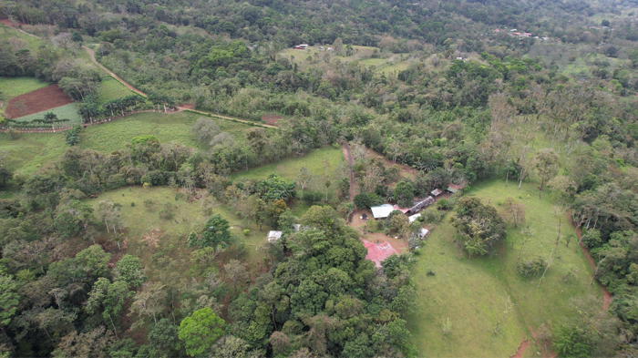 Finca en venta Florencia de San Carlos en Florencia, San Carlos, Alajuela — $440,000 - Foto 3 de 13